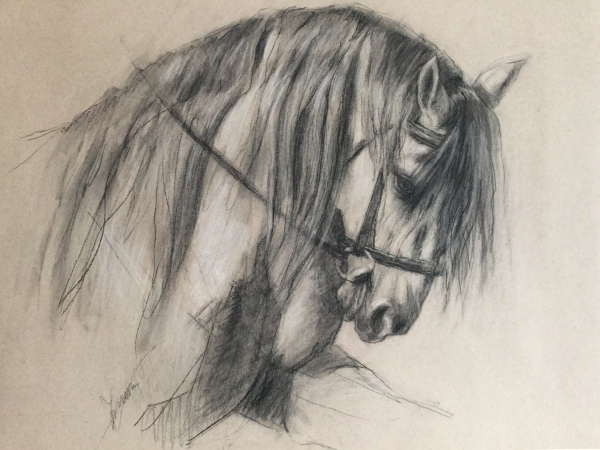 Click here to view The Iberian by Ann Sherman
